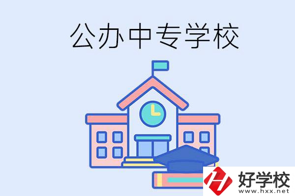 湘西一共有多少所公辦的中專(zhuān)學(xué)校？