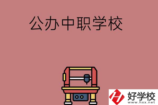 長沙可以學計算機應用專業(yè)的公辦中職學校有哪些？