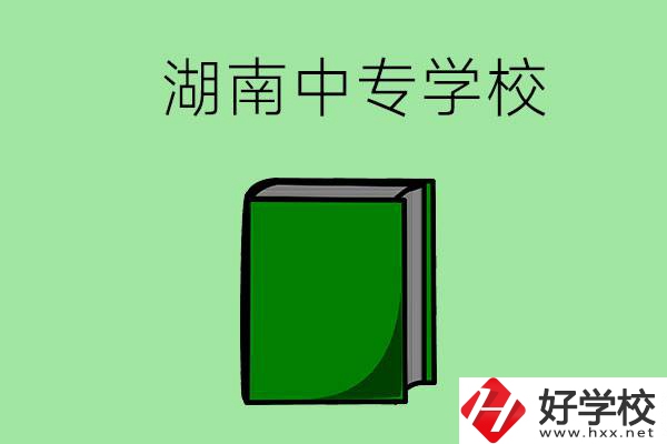 湖南的中專學(xué)校有哪些？都開設(shè)了哪些專業(yè)？