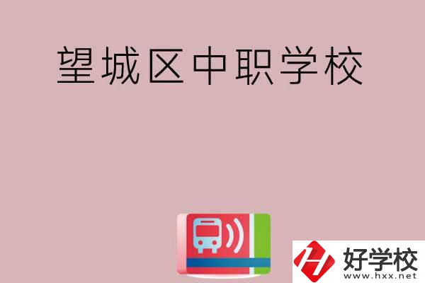 長沙望城區(qū)哪些中職學(xué)校？