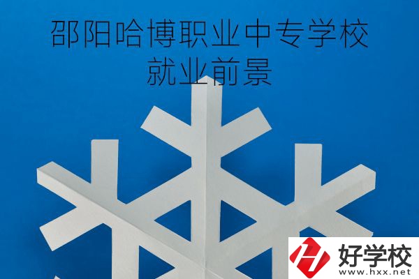 邵陽哈博職業(yè)中專學(xué)校就業(yè)前景怎樣？