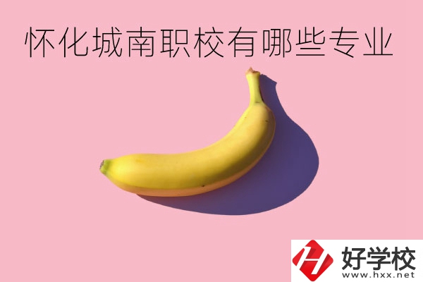 懷化城南職業(yè)學(xué)校有哪些專業(yè)？學(xué)校好不好？