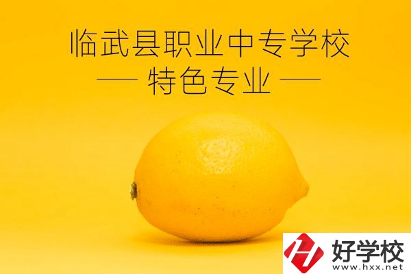 臨武縣職業(yè)中專學(xué)校好嗎？有哪些特色專業(yè)？