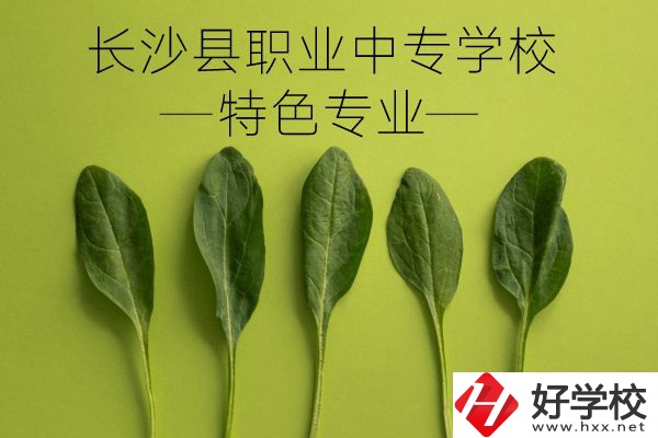 長(zhǎng)沙縣職業(yè)中專學(xué)校怎么樣？有什么特色專業(yè)？