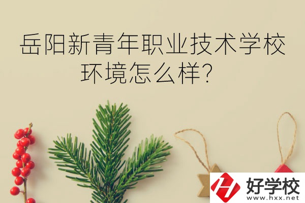 岳陽新青年職業(yè)技術學校好不好？環(huán)境怎么樣？