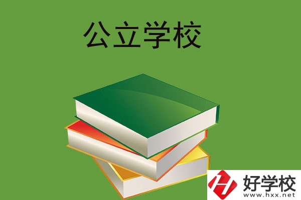 公立學校,學校情況