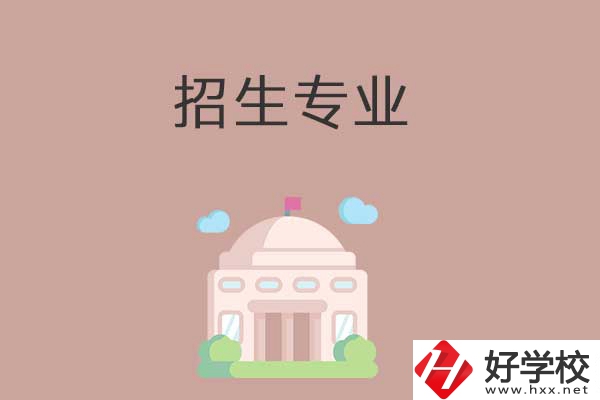 益陽有哪些高職院校設(shè)立了中職部？招生專業(yè)有哪些？