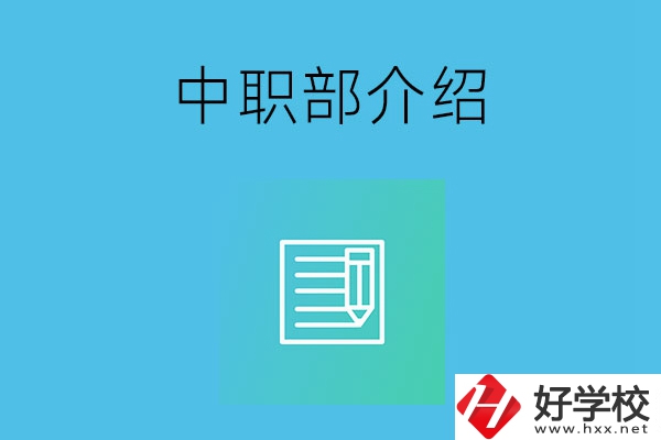 湘潭院校中職部介紹，這幾所學(xué)校你知道嗎？