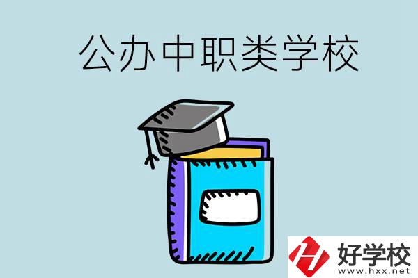 湘西的公辦中職類學(xué)校一共有多少所？