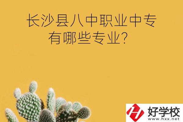 長(zhǎng)沙縣八中職業(yè)中專好不好？有哪些專業(yè)？