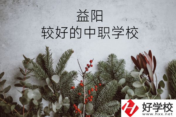 益陽有哪些中職學(xué)校比較好？