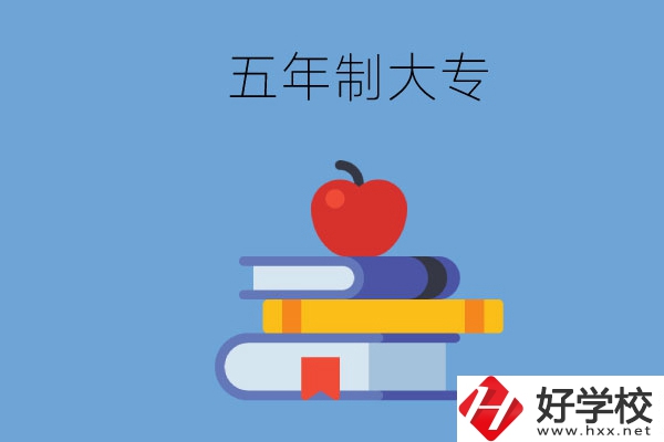 長沙開設(shè)教育類專業(yè)的五年制大專有哪些？