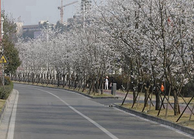 湖南2024年初中生怎么考鐵路學(xué)校