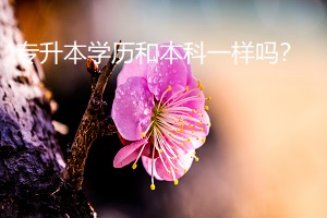 專(zhuān)升本學(xué)歷和本科一樣嗎？