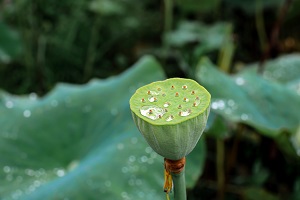 ?？粕捅究粕啾仁遣皇窍嗖詈苓h(yuǎn)？?？粕捅究粕牟罹嗑烤乖谀睦?？