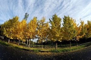 大專第三年才開始準備普通專升本考試來得及嗎？該如何備考？