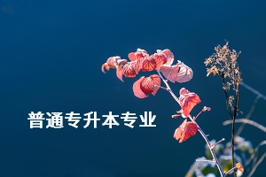 荊楚理工學(xué)院專升本的專業(yè)有哪些？專業(yè)考試難不難？