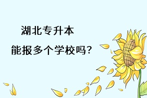 湖北專升本能報(bào)多個(gè)學(xué)習(xí)嗎？